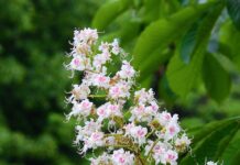 Jakie wyniki z matury na informatykę? Jakie wyniki z matury na informatykę?