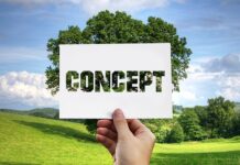 Na czym polega metoda eksperymentu? Na czym polega metoda eksperymentu?